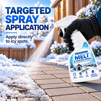 Heavy-Duty Outdoor Ice & Snow Remover Spray