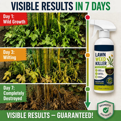 🔥 50% OFF 🌿 Weed Stop – Effective Against Weeds & New Growth | Gardens, Paths & Yards ⚡