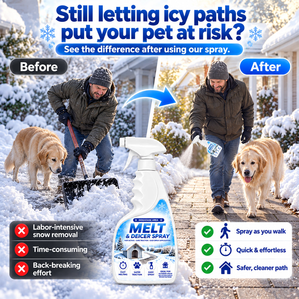 Heavy-Duty Outdoor Ice & Snow Remover Spray